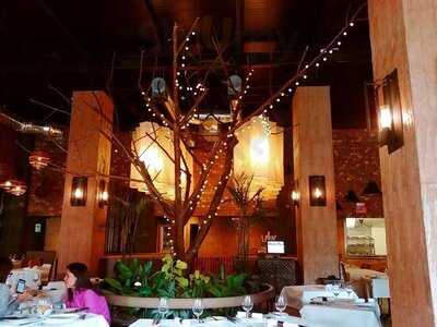 La Cuadra De Salvador 