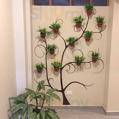 The Secret Of Coffee