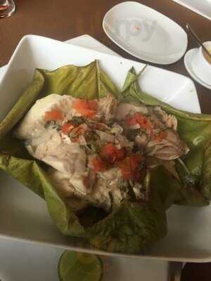 El Encanto Amazonico