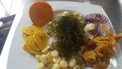 Kulebra Y Sus Conchas Negras