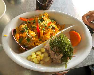 Kulebra Y Sus Conchas Negras