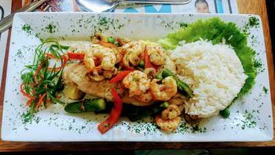 Kulebra Y Sus Conchas Negras