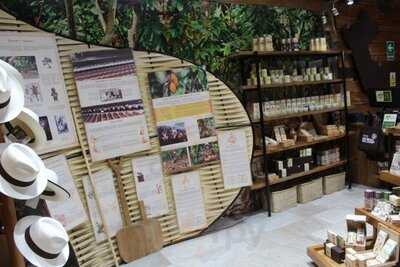 República Del Cacao