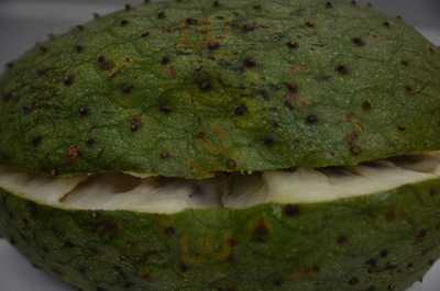 Cremoladas Frozenfruit