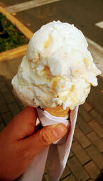 The Ice Cream Factory