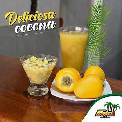 El Majaz Fusión Selvátiva