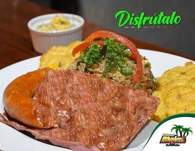 El Majaz Fusión Selvátiva