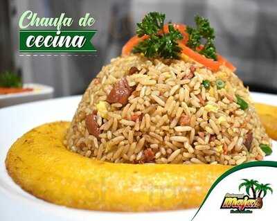 El Majaz Fusión Selvátiva