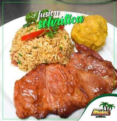 El Majaz Fusión Selvátiva