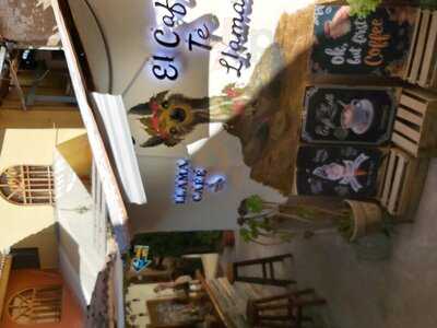 Llama Cafe