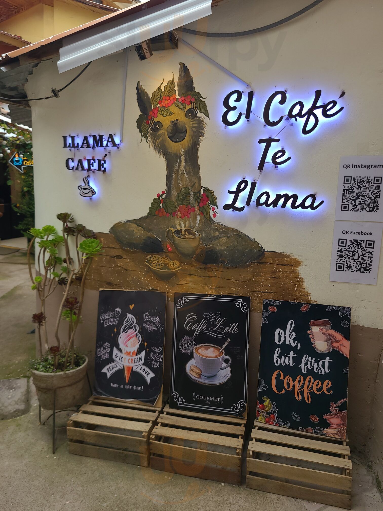 Llama Cafe