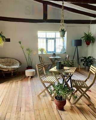 Chikara Sushi - Carajo Lounge Café