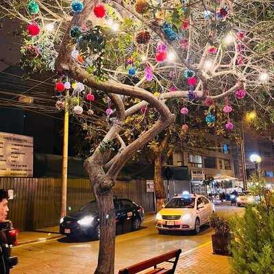 Cosmopolitan Bar Café