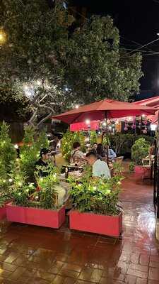 Cosmopolitan Bar Café