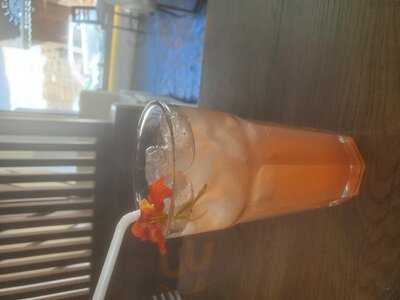 Willka Lounge Craft Beer