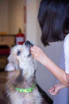 Habitual Café - Cafetería De Especialidad