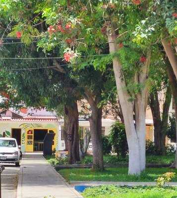 Photo 4