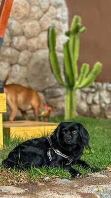 Flora Brunch & Coffee