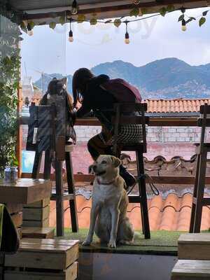 El Caldero De Las Brujas