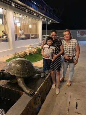 Nonki Japanese Restaurant