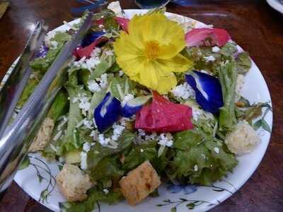 The Buzzz Cafe By Bohol Bee Farm