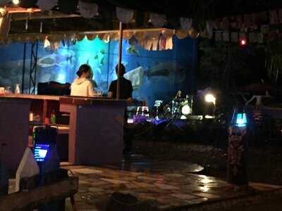 Bogsers By The Sea - Seafood Restaurant And Tiki Bar