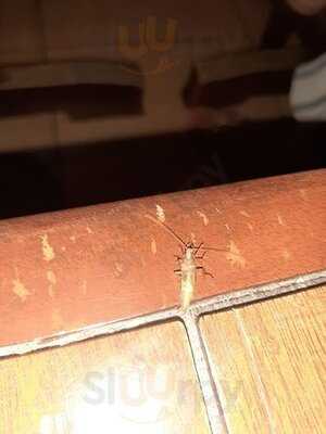 Swiss Deli, Matina Branch