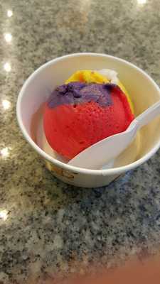 Sebastian's Cold Comfort