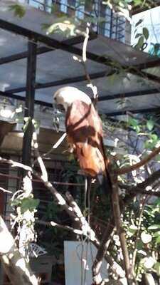 888 Viber Bar And Resto