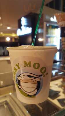 Merry Moo Artisan Ice Cream