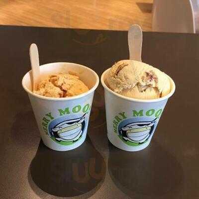 Merry Moo Artisan Ice Cream