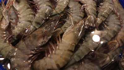 Sis Seafood Palutuan