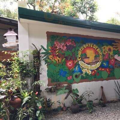 Choco-late De Batirol