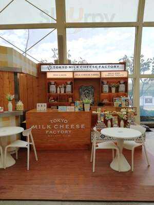 Tokyo Milk Cheese Factory