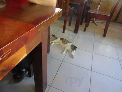 Jencas B4 Laiya Lomi N Food House