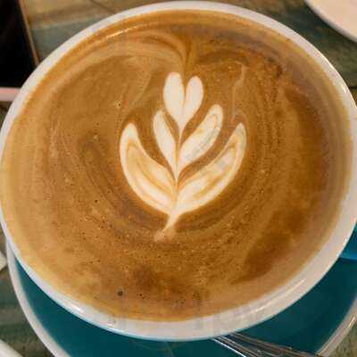 The Fat Seed Cafe + Roastery