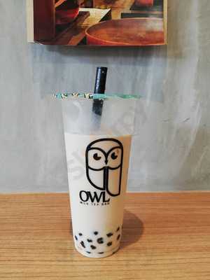 Owl Milk Tea Bar