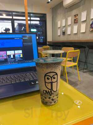 Owl Milk Tea Bar