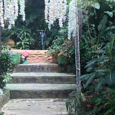 Verdiview Restaurant