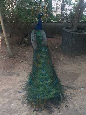 Kawayan Kitchen At Jest Camp