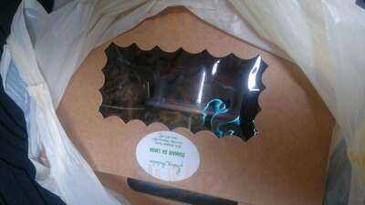 Good Shepherd-bahay Pastulan