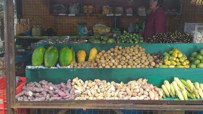 Good Shepherd-bahay Pastulan