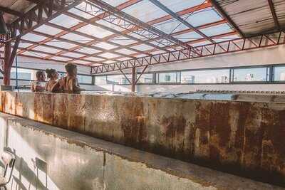 Mad Monkey Kitchen & Bar - Cebu City