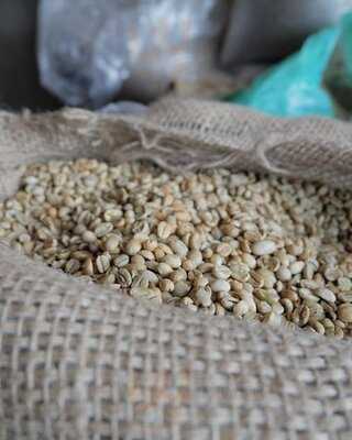 Linear Coffee Roasters