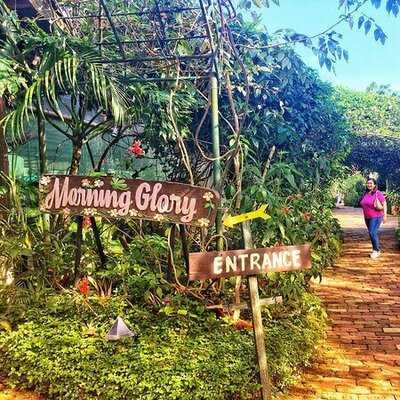 Sonya's Secret Garden