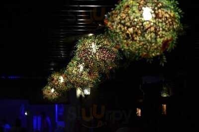 Oasis Cafe & Restaurant