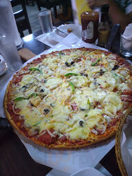 Backyard Edible Garden