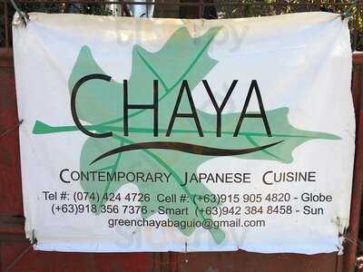 Chaya