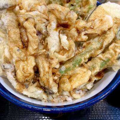 Tenya Tempura Tendon