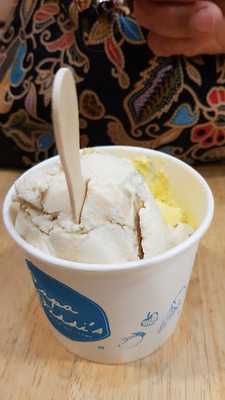 Papa Diddi's Handcrafted Ice Cream